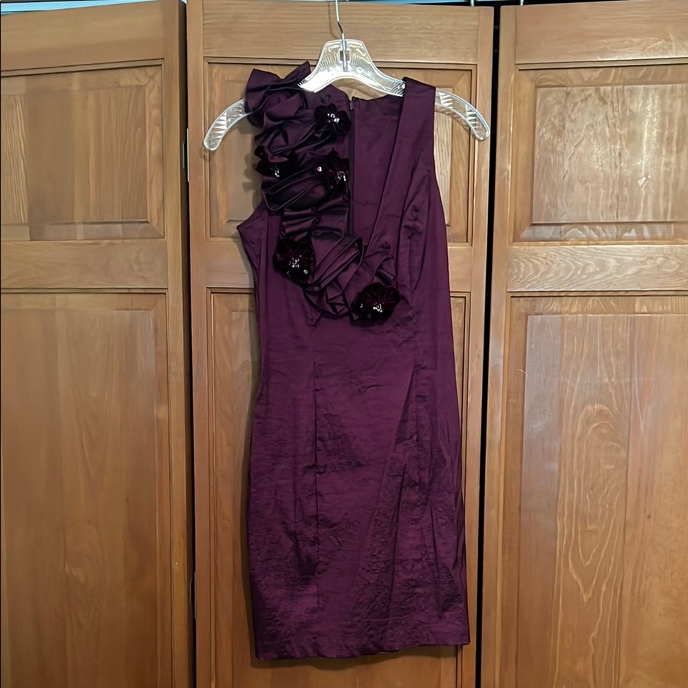 Jessica McClintock Purple Sleeveless Cocktail Dress Size 4